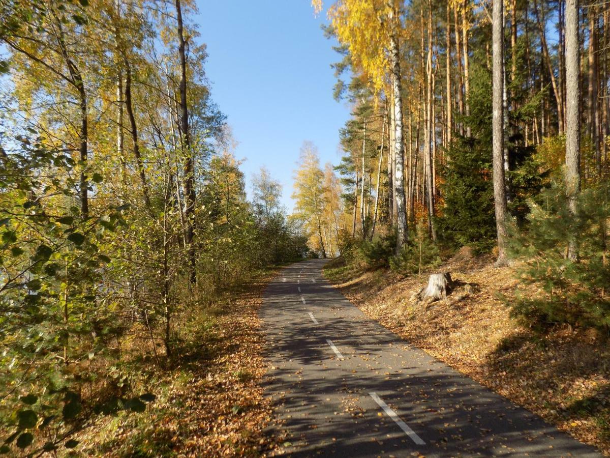 Vila Rozinka Lipno Lipno nad Vltavou Kültér fotó