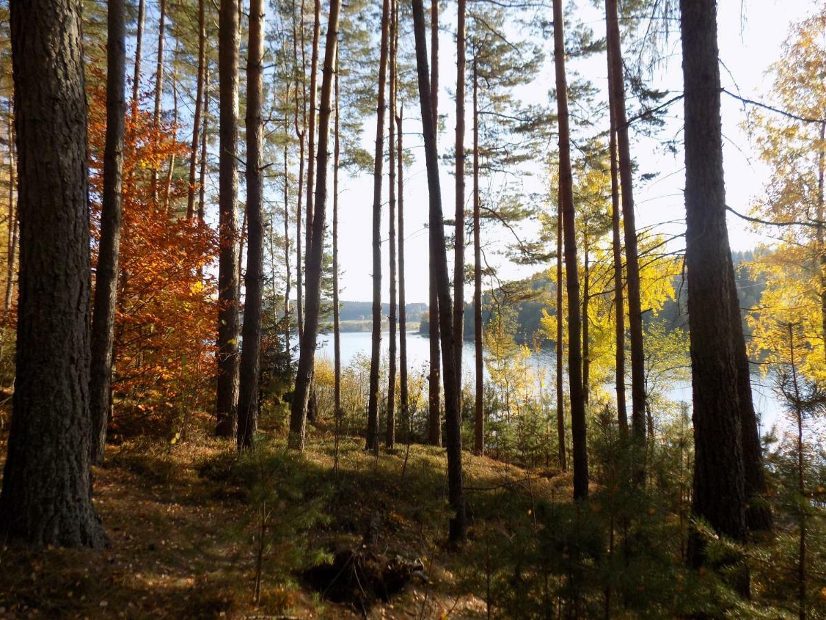 Vila Rozinka Lipno Lipno nad Vltavou Kültér fotó